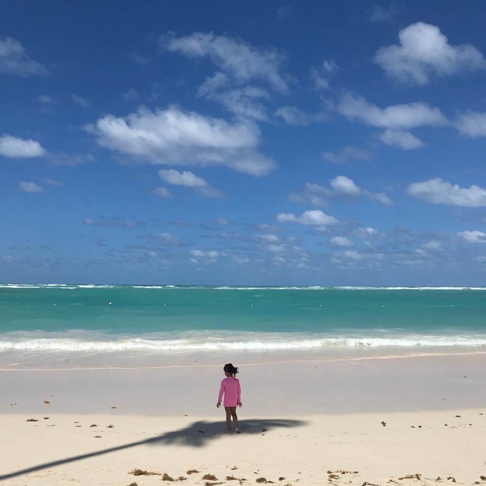 Meet your Posher, Irene